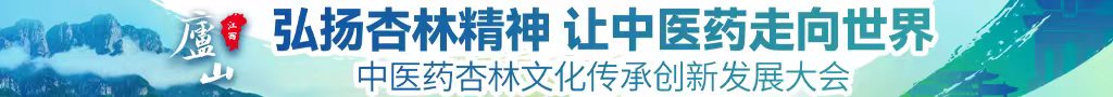 大鸡吧插入中医药杏林文化传承创新发展大会